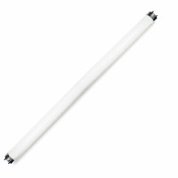 Лампа люминесцентная Т8 36Вт 6500K G13 Bellight